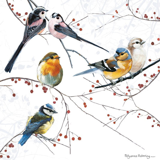 Countryside Card - Mixed Birds