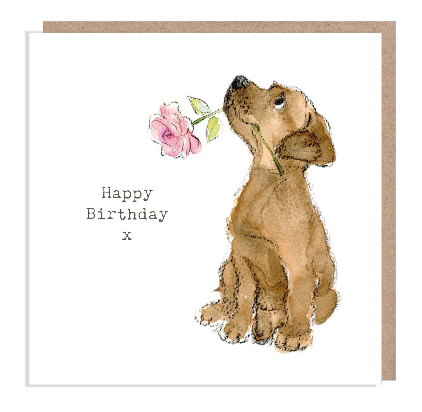 Chocolate Lab With Pink Rose