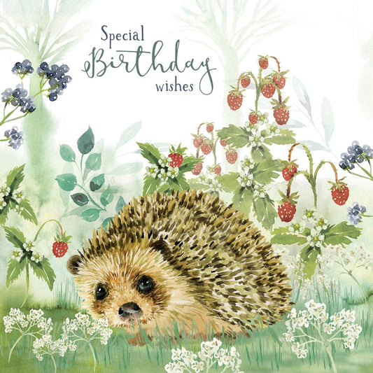 Wild & Serene Card Hedgehog