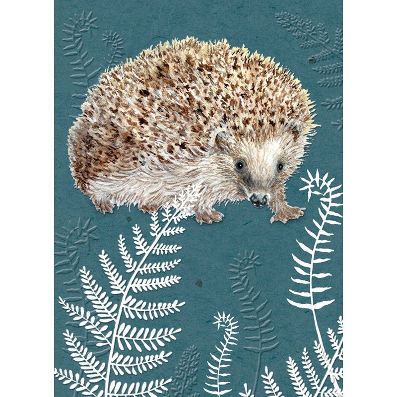 RSPB in the Wild Card - Hedgehog