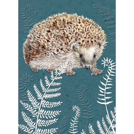 RSPB in the Wild Card - Hedgehog