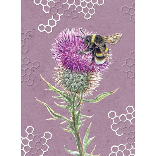 RSPB in the Wild Card - Bee & Thistle