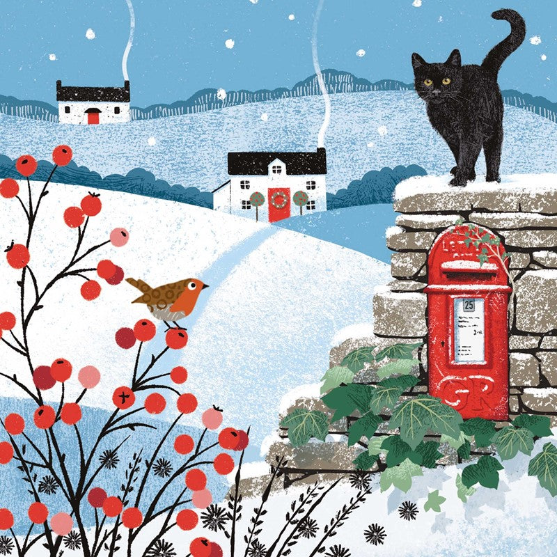 Charity 10 Pack Country Postbox Christmas Cards