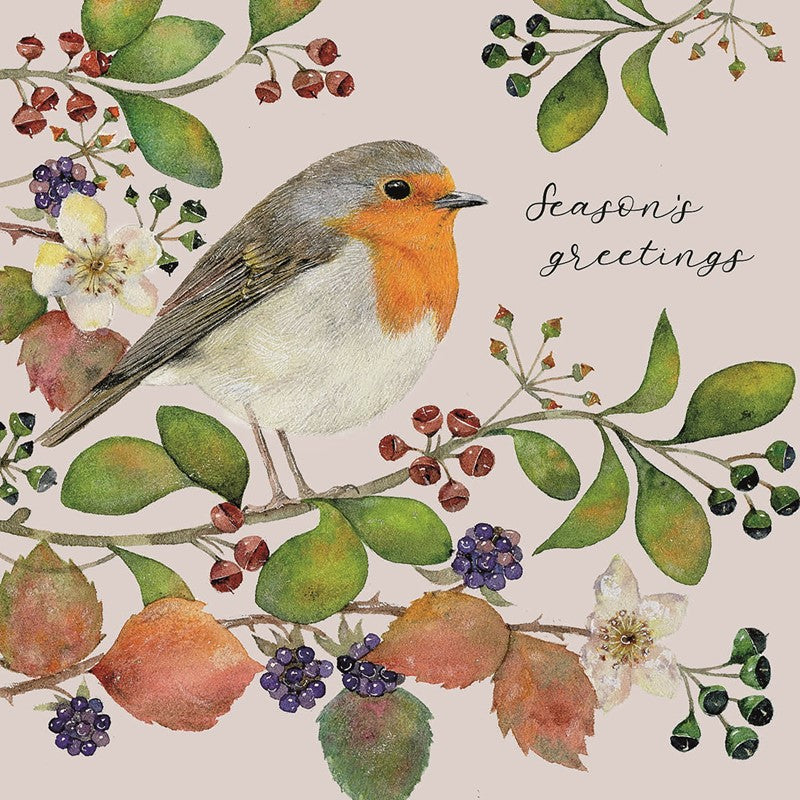 Charity 10 Pack Christmas Robin Christmas Cards