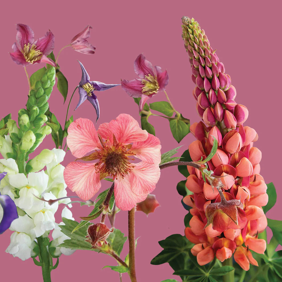 Floral Jungle Greetings Card
