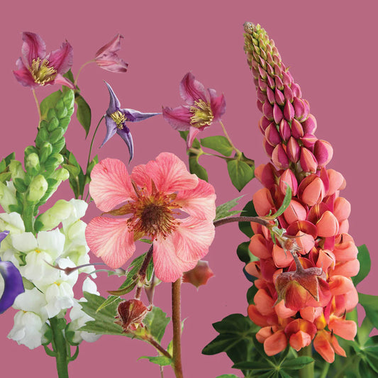 Floral Jungle Greetings Card