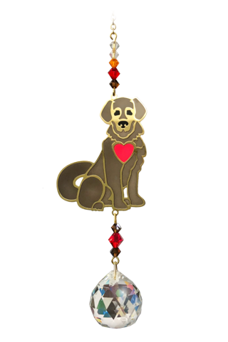Crystal Dreams, Puppy, Brown