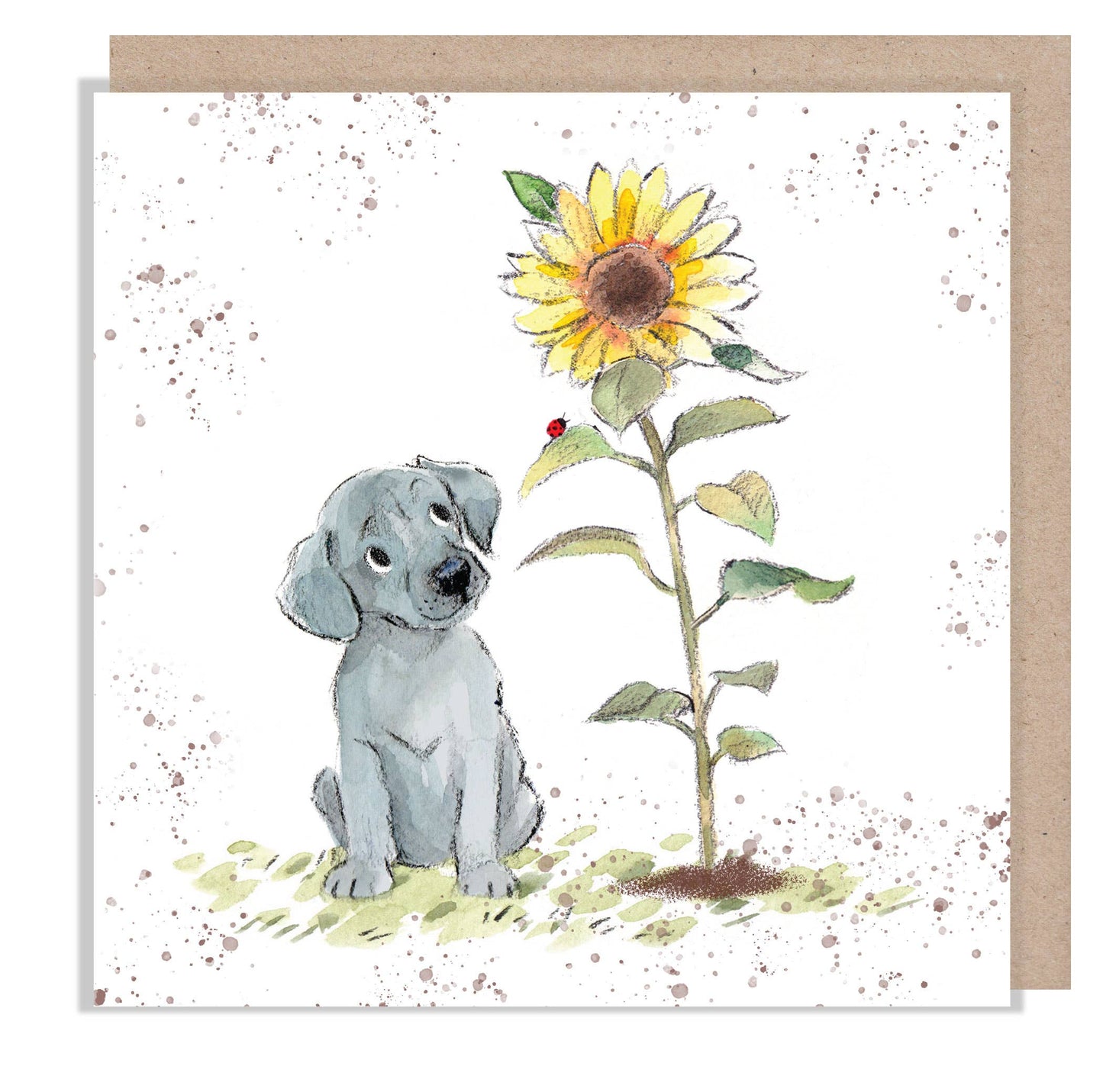 Grey Puppy with Sunflower