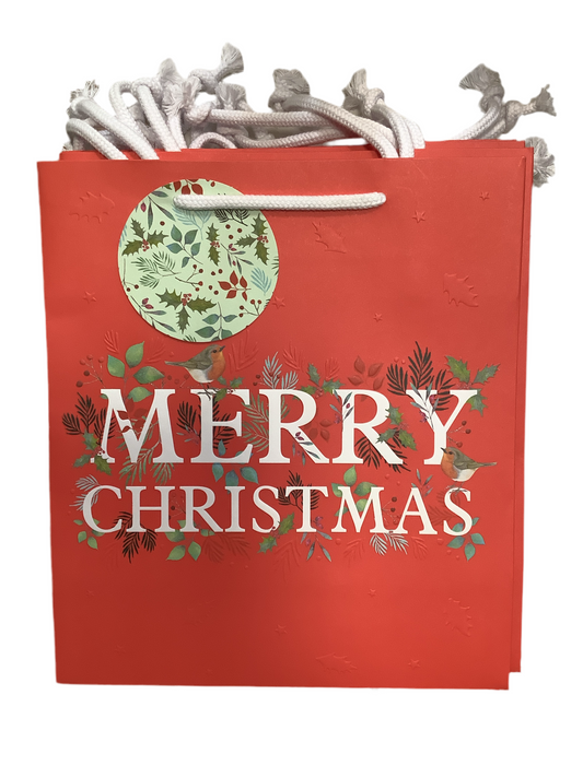 Merry Christmas gift bag