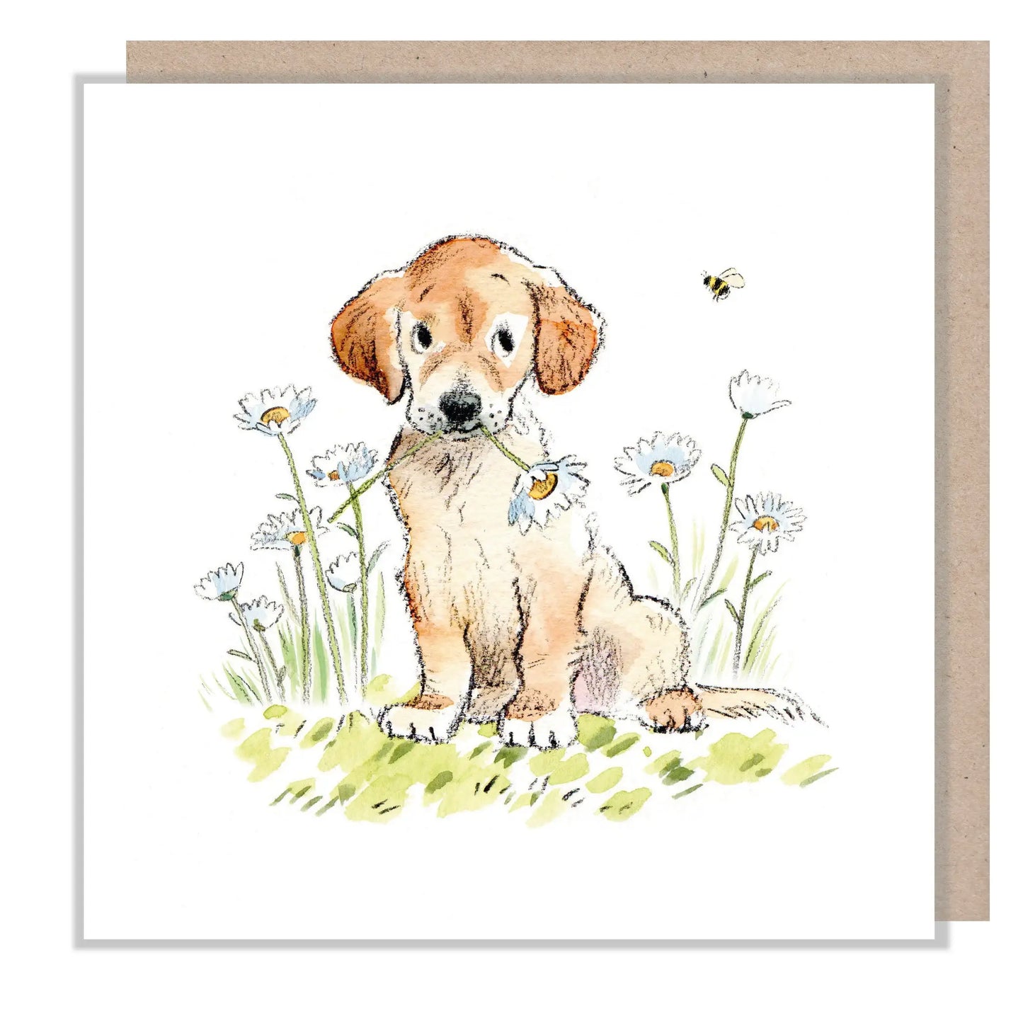 Golden Retriever With Daisy And Bee