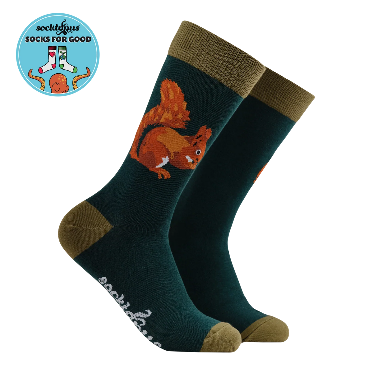 Squirrel Socks - Socktopus x Robert E Fuller (Size 4-8)