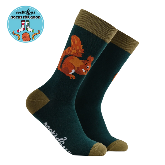 Squirrel Socks - Socktopus x Robert E Fuller (Size 4-8)