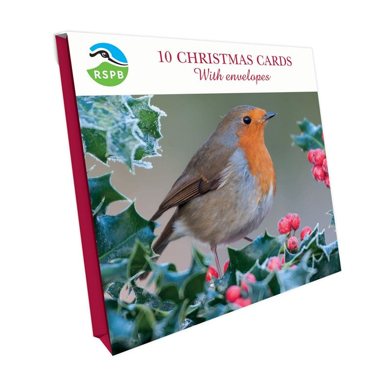 RSPB Chirpy Robin Christmas Cards 10 Pack