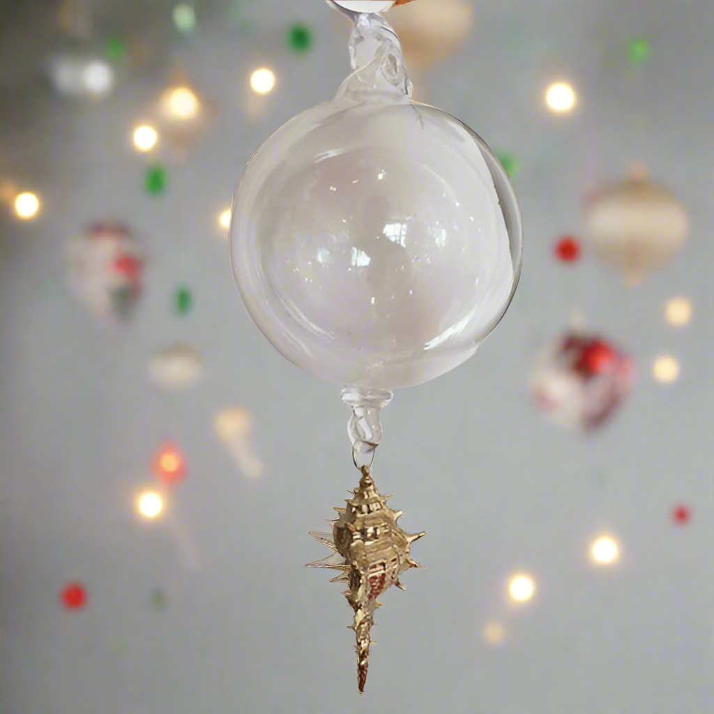 Glass Ball with Hanging Antilles Murex Siratus Shell 2"