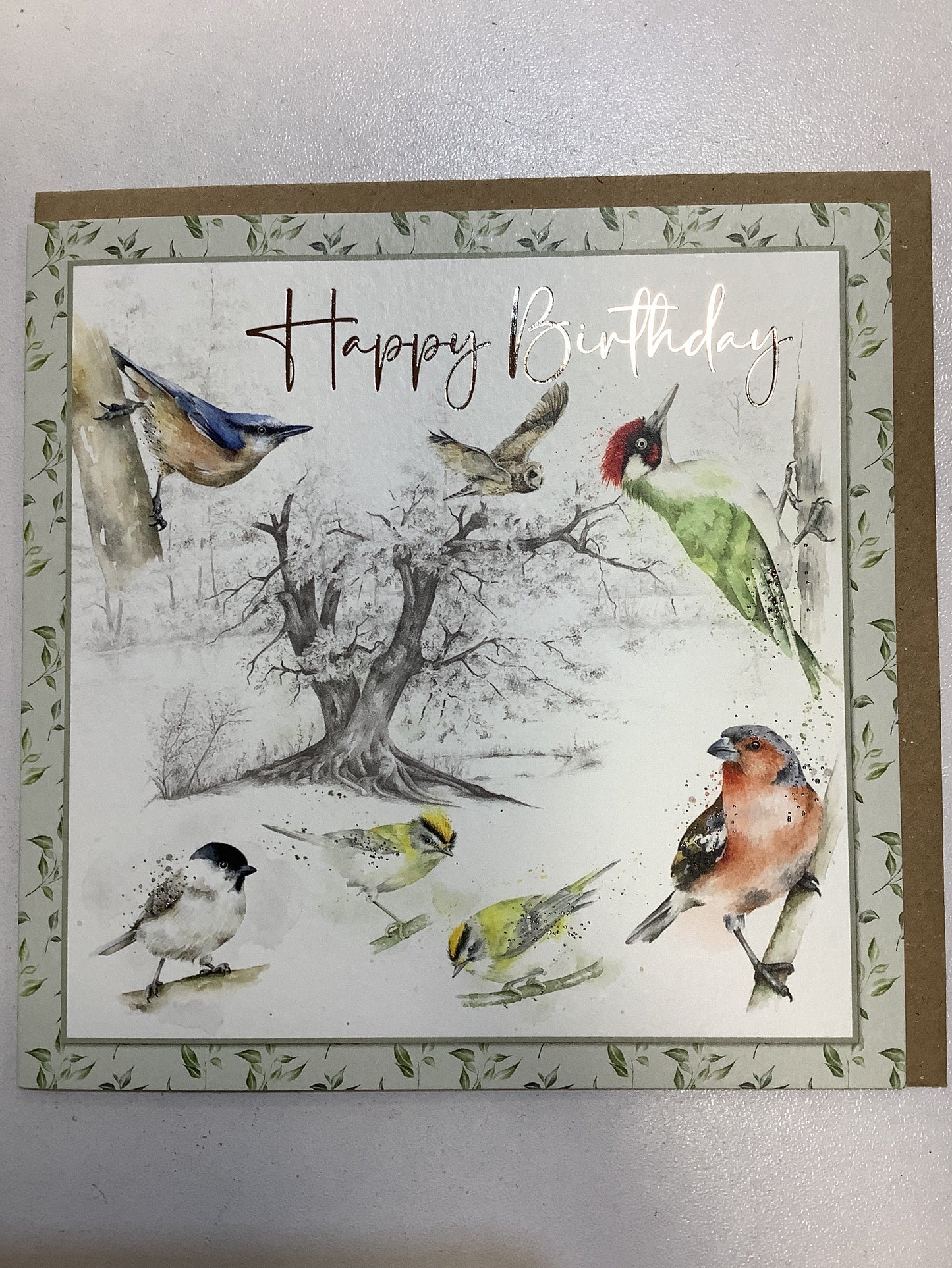 Natures Diary - Happy Birthday Birds