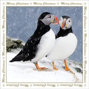 Puffins in the Snow Christmas Card