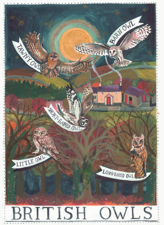 British Owls Greetings Card
