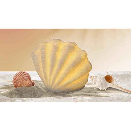 Mini Scallop Lamp