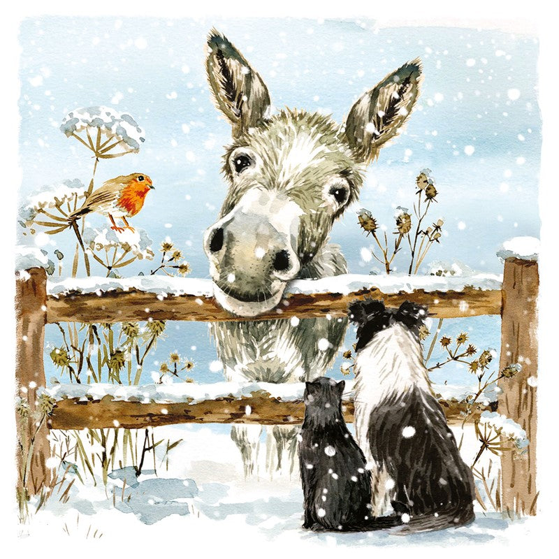 Charity 10 Pack Donkey & Friends Christmas Cards