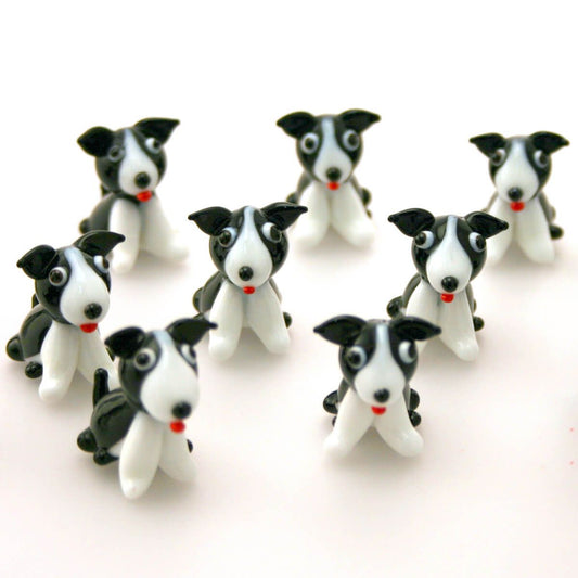 Glass Boarder Collie with Red Tongue