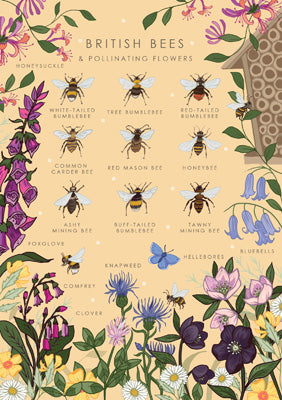 British Bees and Flowering Plants Greetings Card