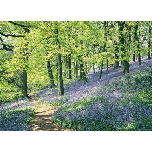 Floral Blank card - Bluebell Wood