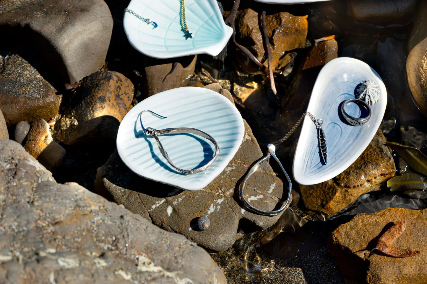 Rockpool Shell Trinket Dish