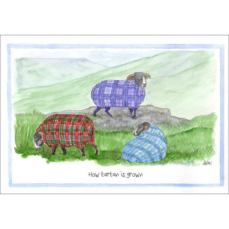 Alisons Animals - How Tartan is grown