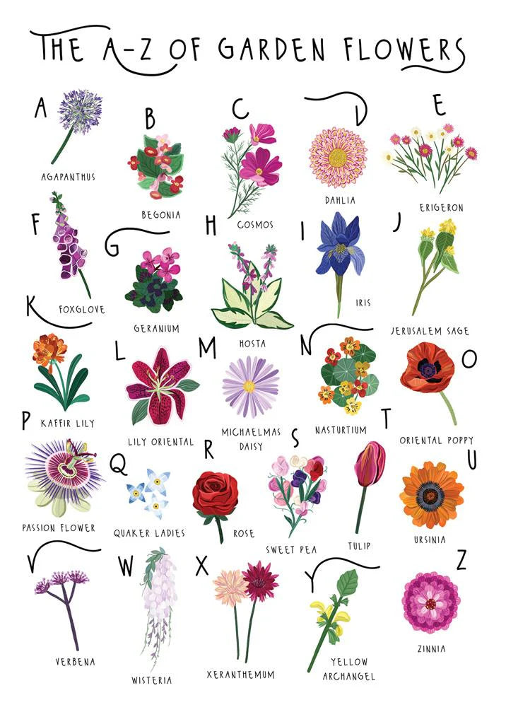 The A - Z of Garden Flowers