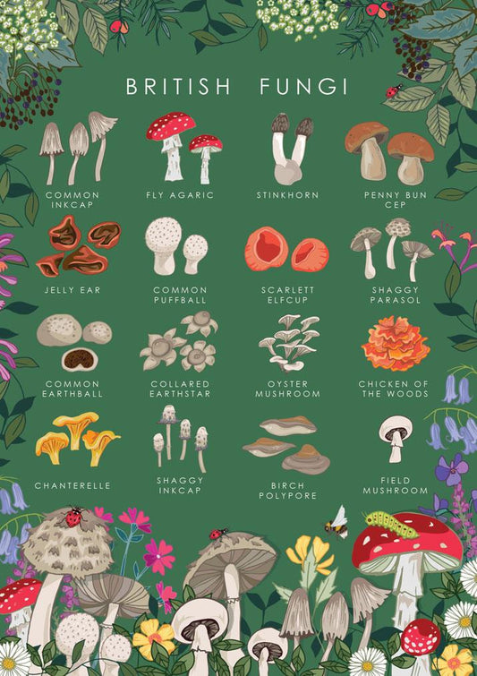 British Fungi Card