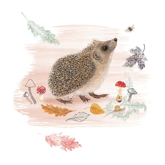 Peering Hedgehog RSPB Greetings Card