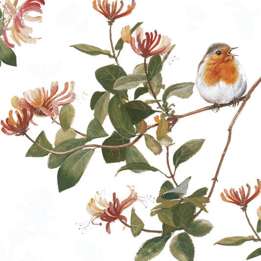 Robin and HoneysuckleThe Countryside Collection Greeting Card