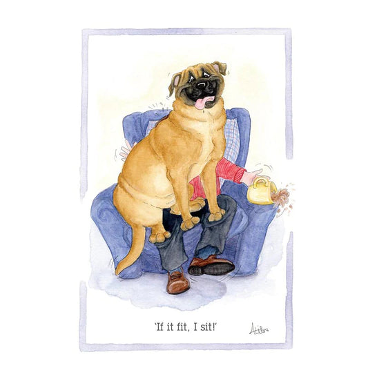 If I Fit, I Sit - Alisons Animals Card