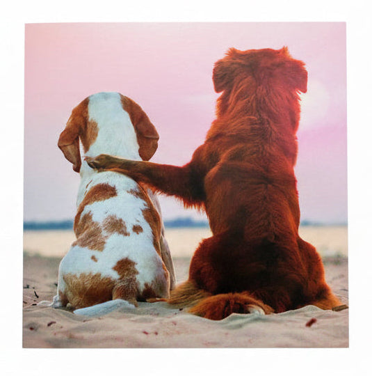 ‘ The Good Life', Greetings Card