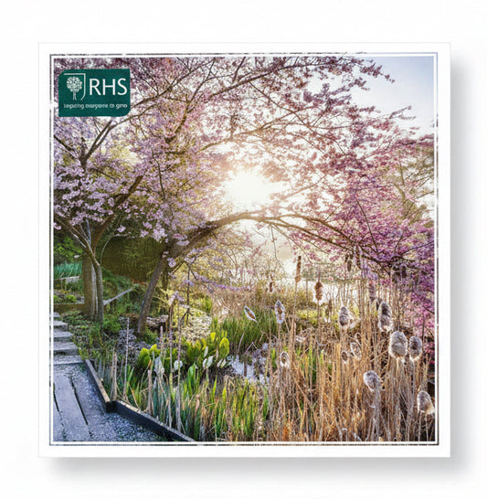 RHS Blossom Greetings Card