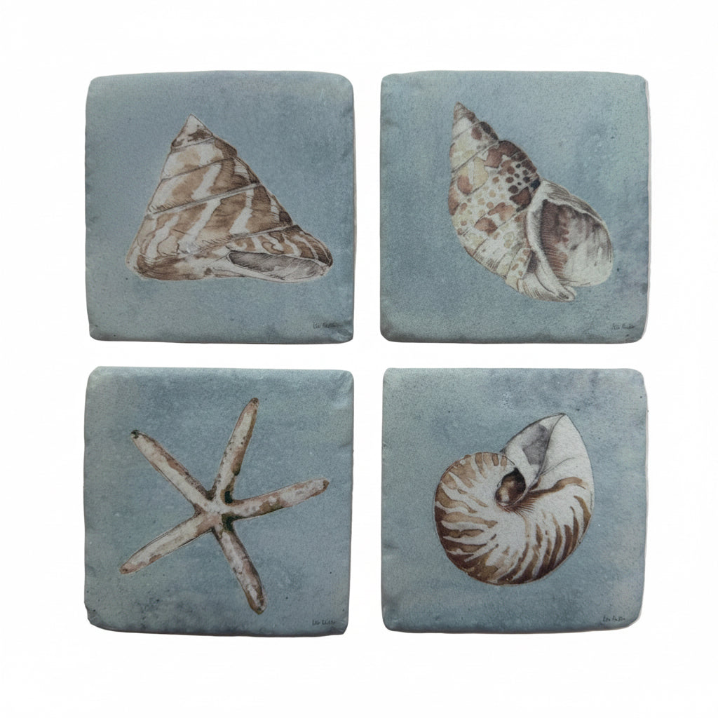 Sea Shell Coaster