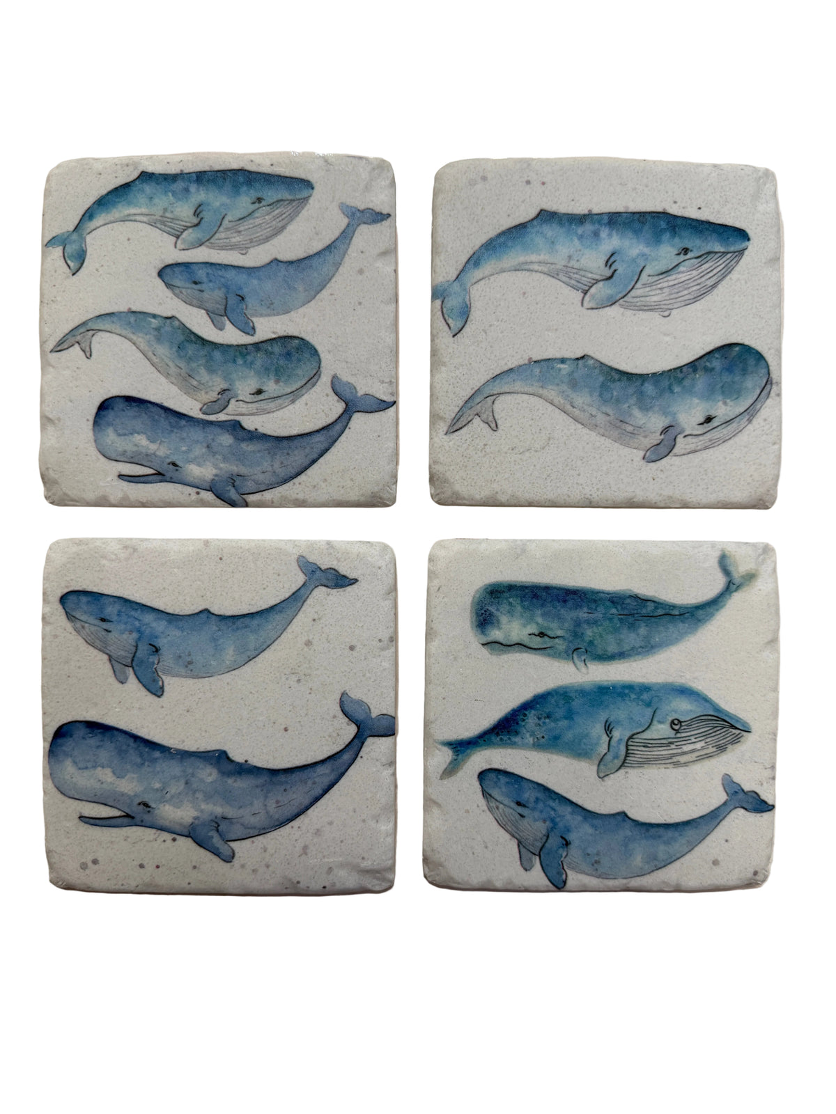 Whale Coaster