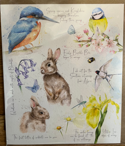 Spring Birthday Card