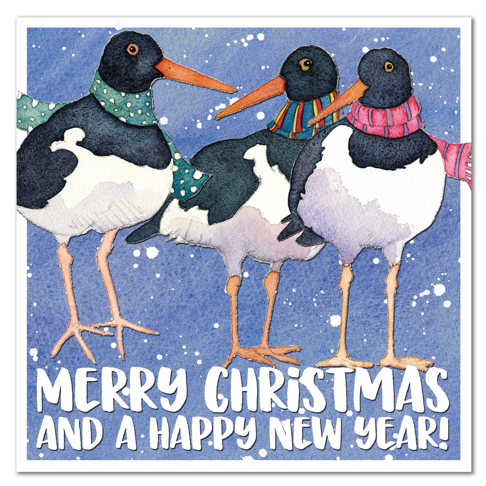 Oysterecatchers Christmas Cards, 6 Pack