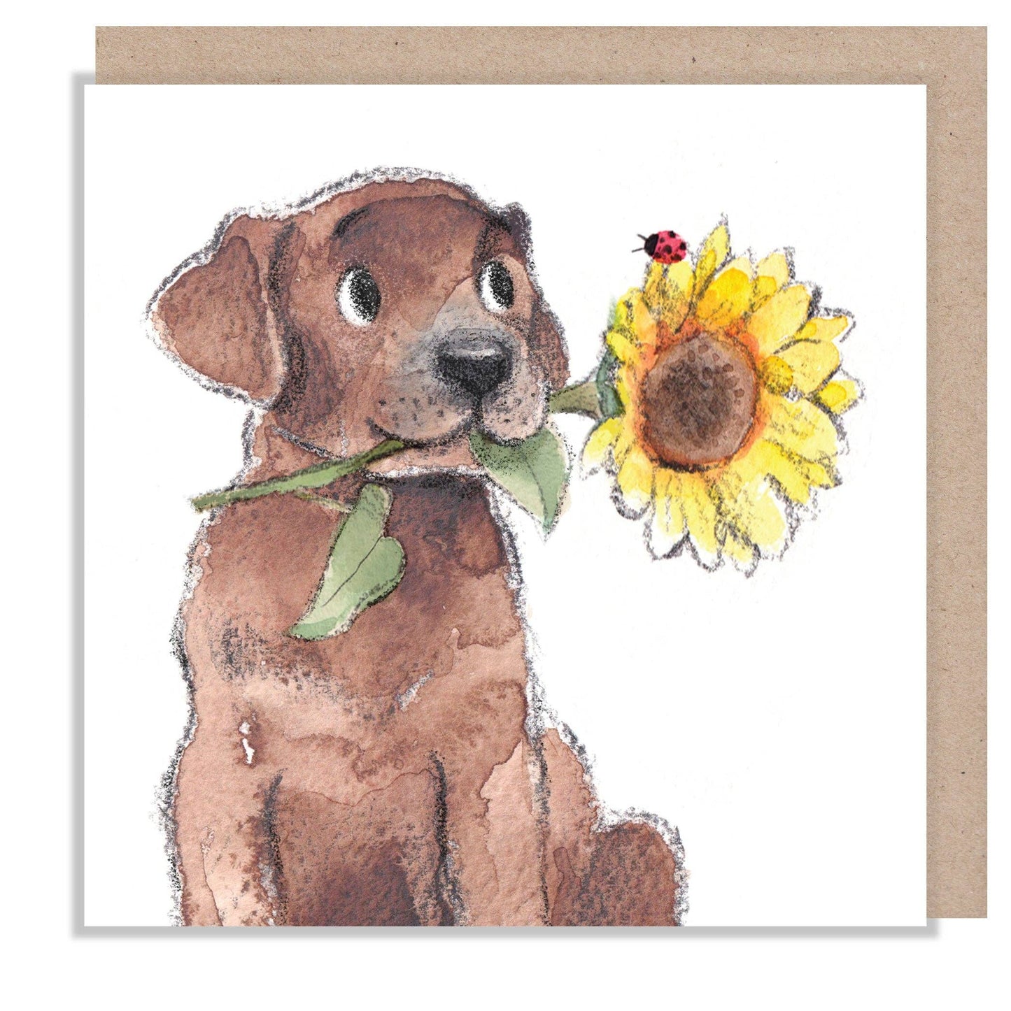 Brown Labrador with Sunflower