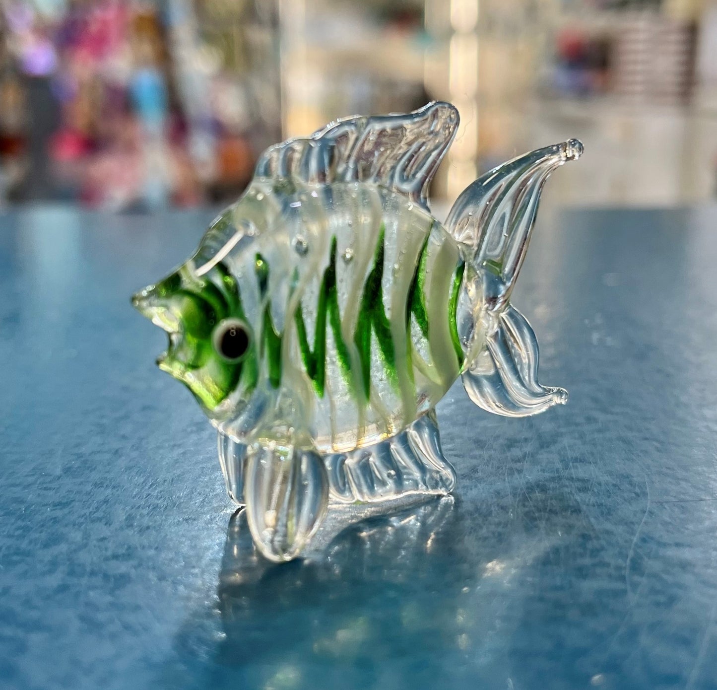 Glass Angel Fish