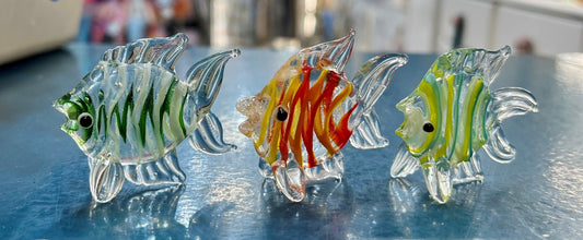 Glass Angel Fish