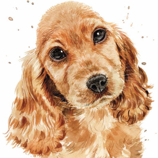'Cocker Spaniel Copper' Puppy Dog Eyes Greetings Card