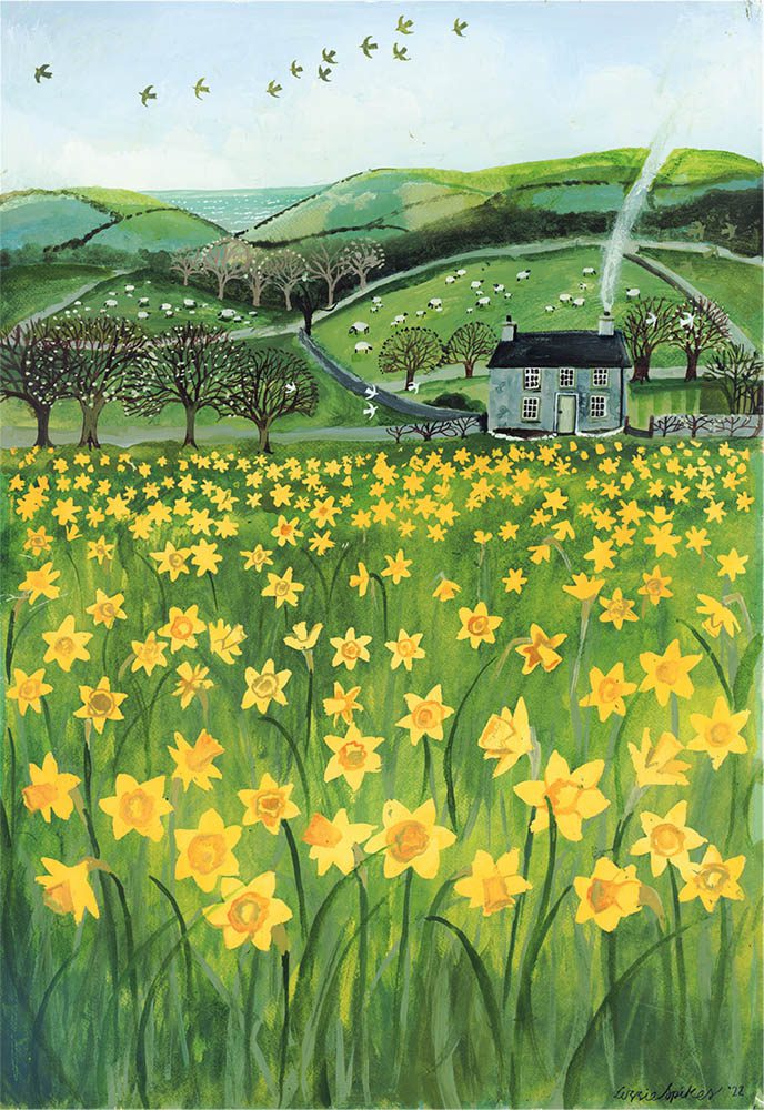 'Daffodil Fields' Greetings Card