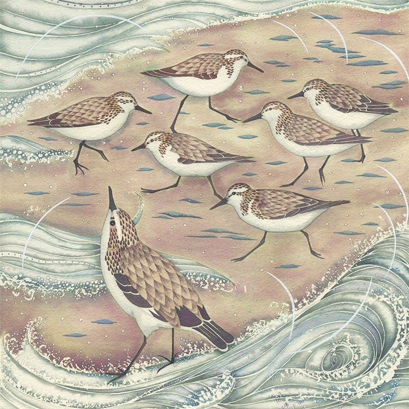 Little Birds on the Shore Greetings Card