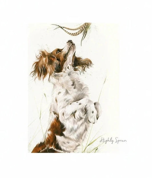 Feather & Fur Highly Sprung Greetings Card
