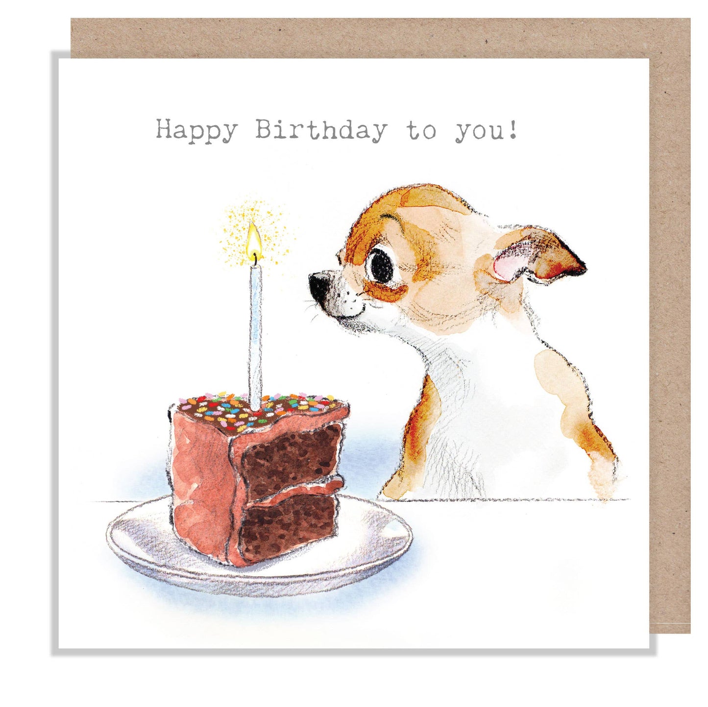 Chihuahua with birthday cake