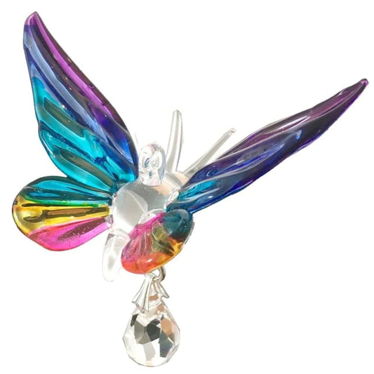 Fantasy Glass Butterfly, Tropical