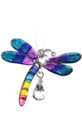 Fantasy Glass Dragonfly, Tropical