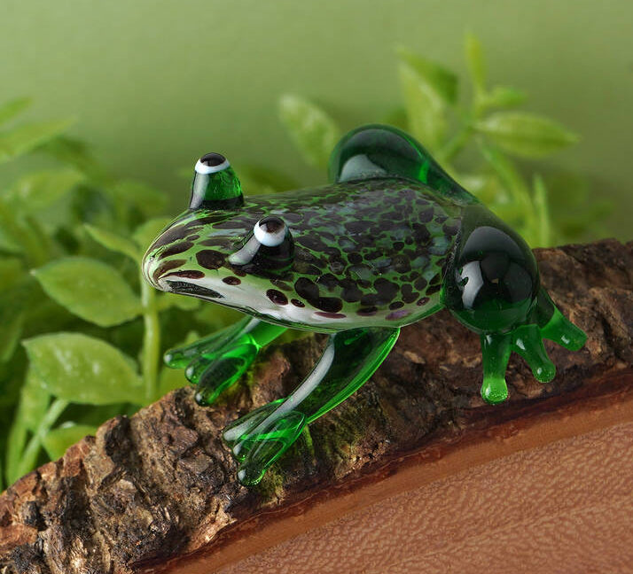 Glass Frog